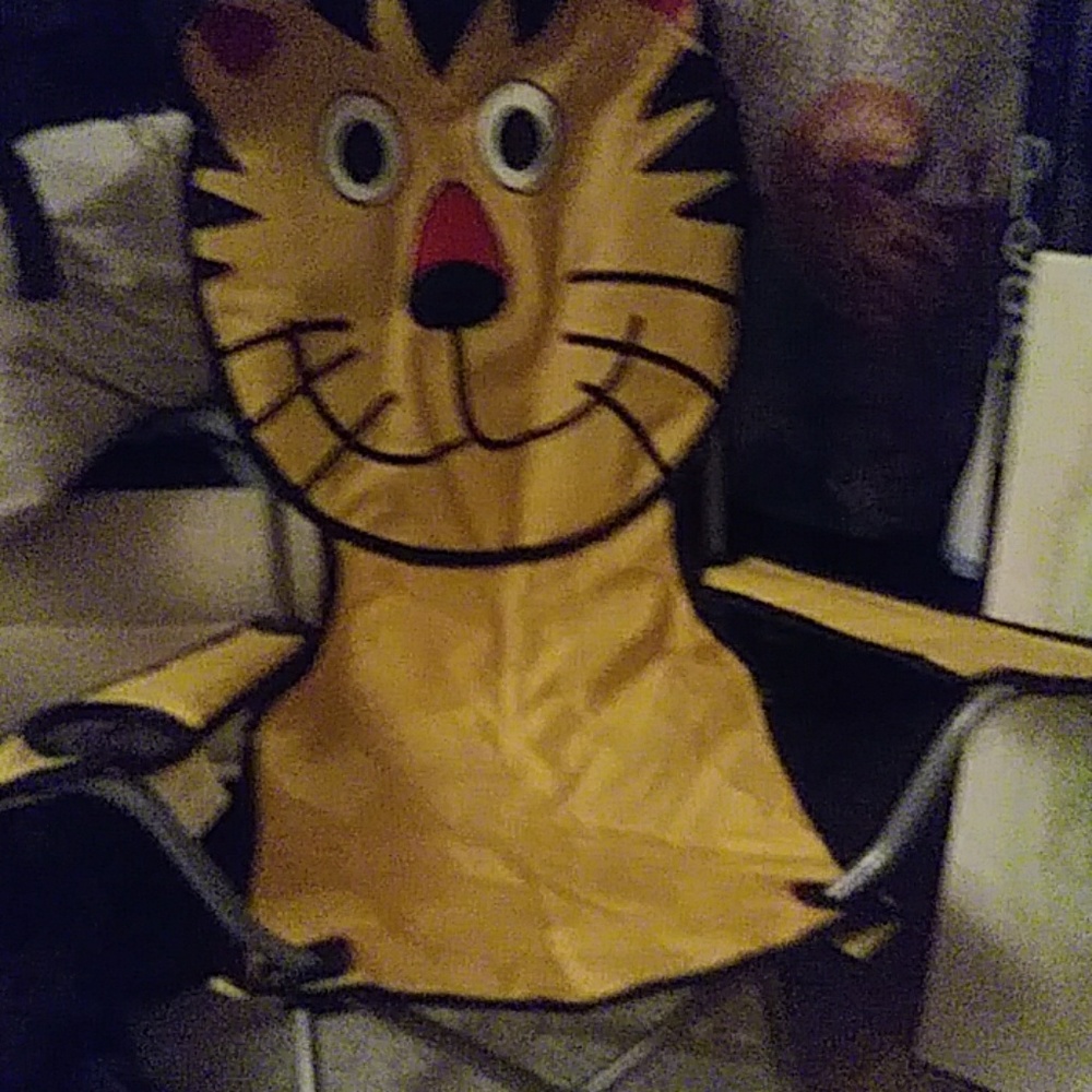 Cat chair